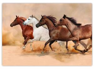 Obraz kôň (Obraz 60x40cm)