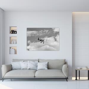 Lietadlo - obraz (Obraz 60x40cm)