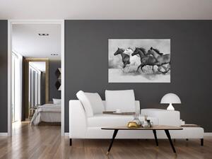 Obraz cválajúci koňov (Obraz 60x40cm)