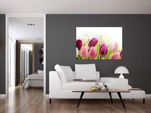 Tulipány, maľby (Obraz 60x40cm)