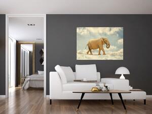Slon na lane, obraz (Obraz 60x40cm)