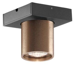 Stropné Lampa LIGHT-POINT, stmievateľné, Bronzová / Stará Mosadz, Obývacia izba, Hliník