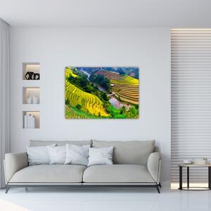 Panorama krajiny - obraz (Obraz 60x40cm)