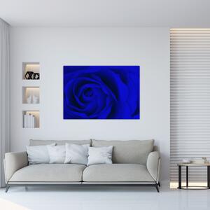 Detail modré ruže - obraz (Obraz 60x40cm)