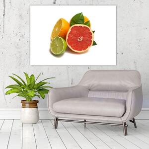 Citrusové plody - obraz (Obraz 60x40cm)
