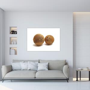 Kokosový orech, obraz (Obraz 60x40cm)
