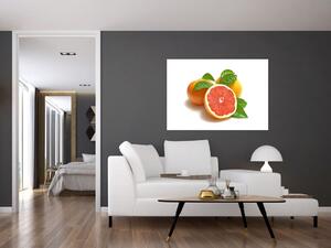 Grapefruit, obraz (Obraz 60x40cm)