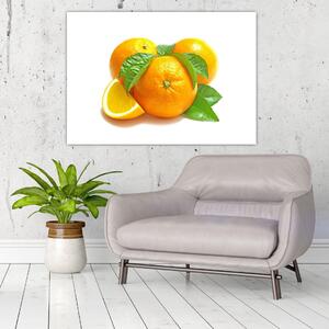 Pomaranče, obraz (Obraz 60x40cm)