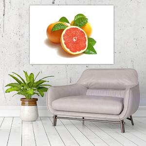 Grapefruit, obraz (Obraz 60x40cm)