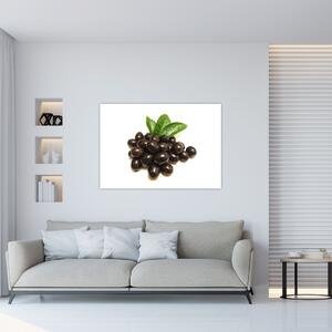 Olivy, obraz (Obraz 60x40cm)