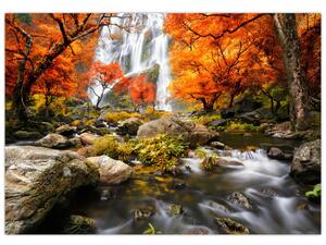 Jesenná krajina, obraz (Obraz 60x40cm)