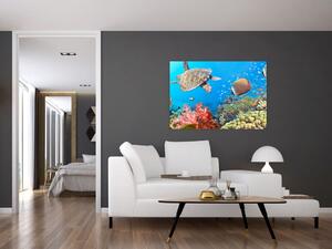 Podmorský svet, obraz (Obraz 60x40cm)