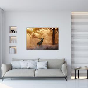 Jeleň v prírode (Obraz 60x40cm)