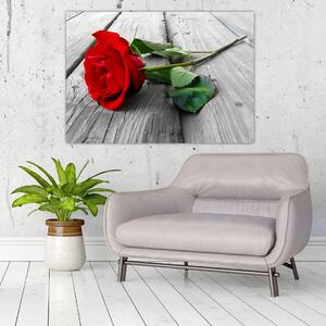 Obraz ruže (Obraz 60x40cm)