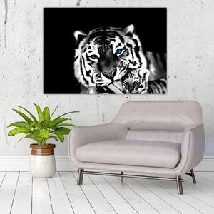 Obraz tigra s mláďaťom (Obraz 60x40cm)