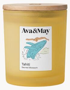 Vonná sviečka Tahiti (Monoi, Tahitian Vanilla & Amber)