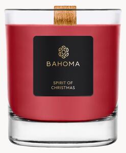 Vonná sviečka Sprit of Christmas (Cassis, Clove & Amber)