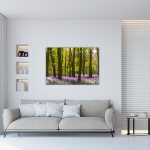 Obraz lesa (Obraz 60x40cm)