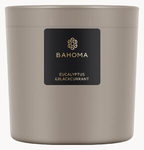 Vonná sviečka's 3 knôtmi Eucalyptus & Blackcurrant (Freesia, Gardenia, Musk)