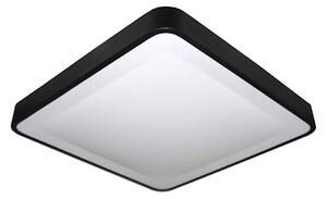 LED Stropné svietidlo WILTON LED/24W/230V čierna