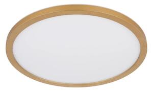 Globo 41562-18MM - LED Stm. strop. svietidlo SAPANA LED/18W/230V IP44