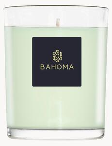 Ručne vyrobená vonná sviečka Alchemy (Primrose, Amberwood)