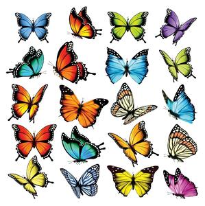 Samolepiaca dekorácia Butterflies, 30 x 30 cm