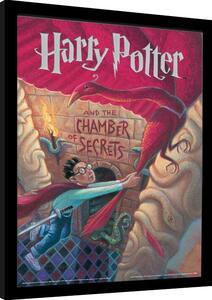 Rámovaný Obraz - Harry Potter - The Chamber of Secrets Book