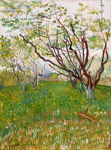 Obrazová reprodukcia The Flowering Orchard (1888), Vincent van Gogh