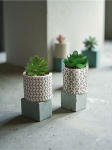 Sinsay - Okrasné rastliny 2 pack - svetlošedá