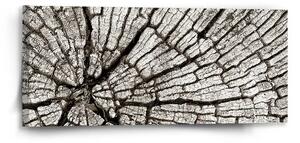 Sablio Obraz Drevo - 110x50 cm