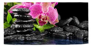 Sablio Uterák Orchidea na kameňoch - 30x50 cm