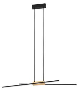 Eglo 900489 - LED Stmievateľný luster na lanku PANAGRIA 2xLED/13W/230V