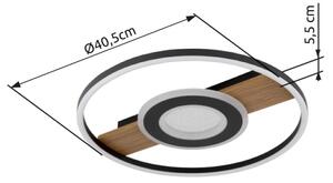 Globo 67323-24 - LED Stropné svietidlo PIKARA LED/24W/230V