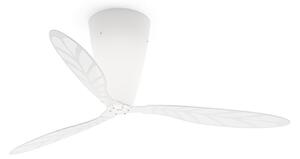 Stropné Lampa Luceplan, stmievateľné, Transparentná, Spálňa, Plast