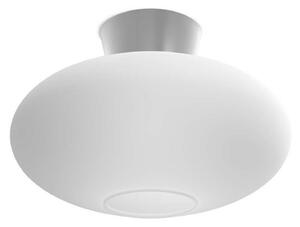 Stropné Lampa Belid, Metalická, Obývacia izba, Kov