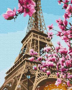 Maľovanie podľa čísiel sakura v Paríži