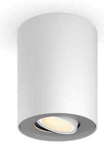 Stropné Lampa Philips Hue, Philips Hue Pillar, stmievateľné, Biela, Obývacia izba, Kov, Moderný