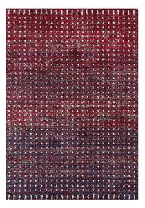 Koberec Royal cherry red/navy 160x230cm