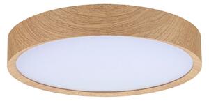 Stropné Lampa Paulmann, Tega, Drevo, Kúpeľňa, Plast, Moderný