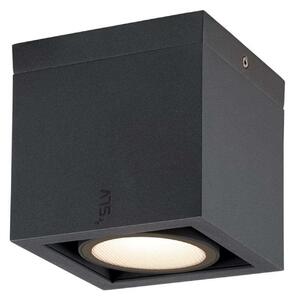 Eskina Frame Stropné Lampa 3000/4000K Anthracite