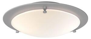 Stropné Lampa Belid, Sivá, Obývacia izba, Kov