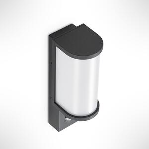 Jokum LED Vonkajšie Nástenné Svietidlo w/Sensor Graphite