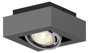 Stropné Lampa Arcchio, Ronka, stmievateľné, Sivá, Obývacia izba, Kov, Moderný