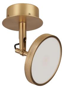 Stropné Lampa UMAGE, Asteria Spot, stmievateľné, Zlatá / Mosadz, Obývacia izba, Kov, Dizajnový