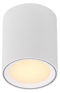 Stropné Lampa Nordlux, Fallon, stmievateľné, Biela, Obývacia izba, Kov, Moderný