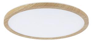 Stropné Lampa Paulmann, Atria Shine, Drevo, Kúpeľňa, Plast, Moderný