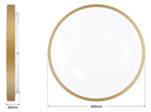 Brilagi - Stmievateľné LED svietidlo GLASS POOL DOUBLE LED/48W/230V 40 cm zlaté + diaľkové ovládanie
