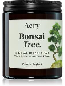Aery Botanical Bonsai Tree vonná sviečka 140 g