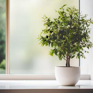 DIMEX | Statická fólia na sklo INOVATKA DWF-FS-01 | šírka 30 cm